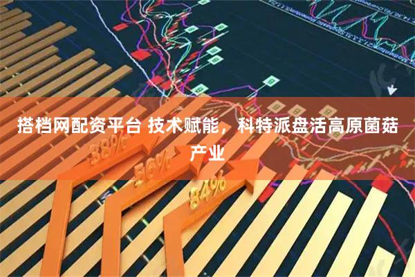 搭档网配资平台 技术赋能，科特派盘活高原菌菇产业