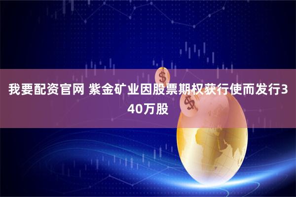 我要配资官网 紫金矿业因股票期权获行使而发行340万股