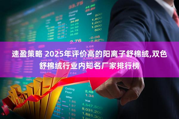 速盈策略 2025年评价高的阳离子舒棉绒,双色舒棉绒行业内知名厂家排行榜