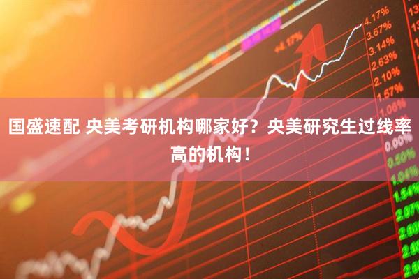 国盛速配 央美考研机构哪家好？央美研究生过线率高的机构！