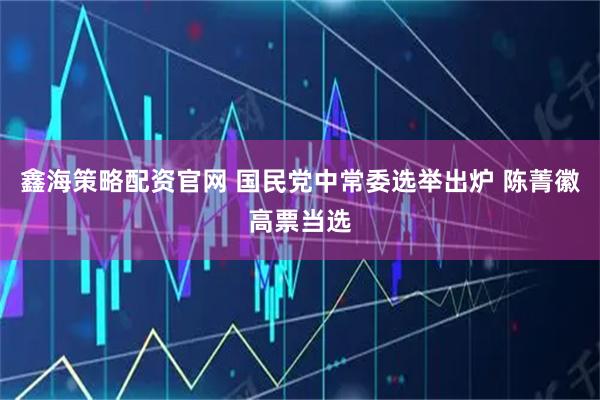 鑫海策略配资官网 国民党中常委选举出炉 陈菁徽高票当选