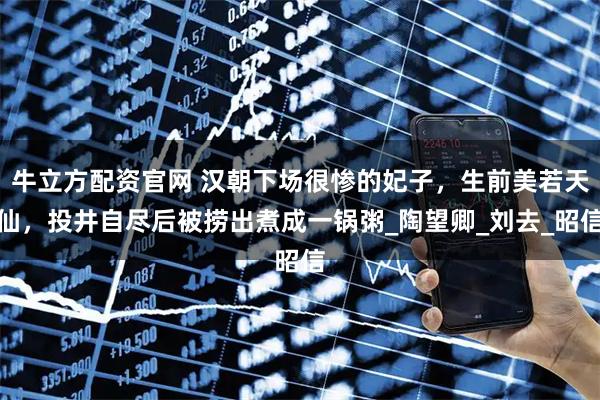 牛立方配资官网 汉朝下场很惨的妃子，生前美若天仙，投井自尽后被捞出煮成一锅粥_陶望卿_刘去_昭信