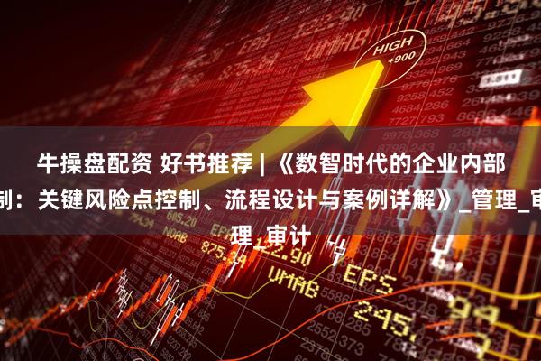 牛操盘配资 好书推荐 | 《数智时代的企业内部控制：关键风险点控制、流程设计与案例详解》_管理_审计