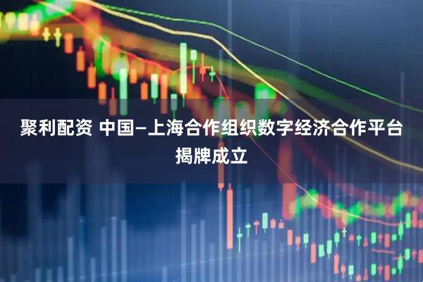 聚利配资 中国—上海合作组织数字经济合作平台揭牌成立